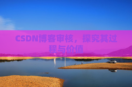 CSDN博客审核，探究其过程与价值